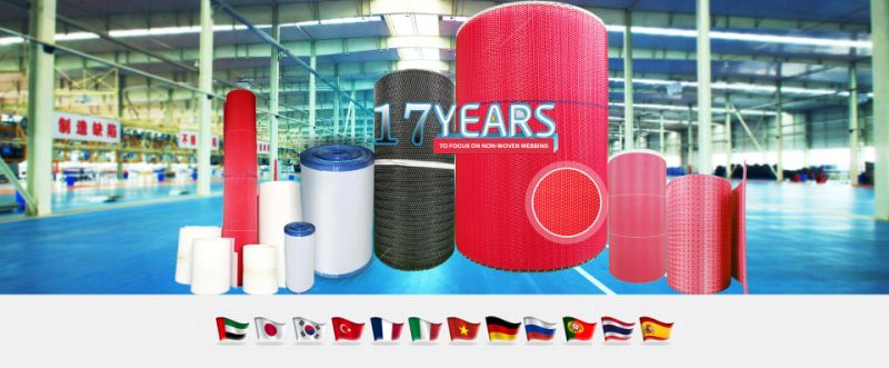 Anti Static Three Threads Polyester Filter Mesh Air Premeability Spiral Dryer Fabric Net