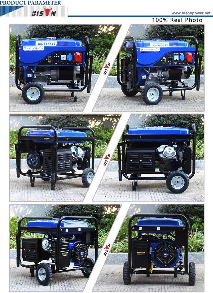 Bison (China) BS4500p (M) 3kw 3kVA Easy Move with Wheels and Handle Strong Frame Single Phase Power Generator