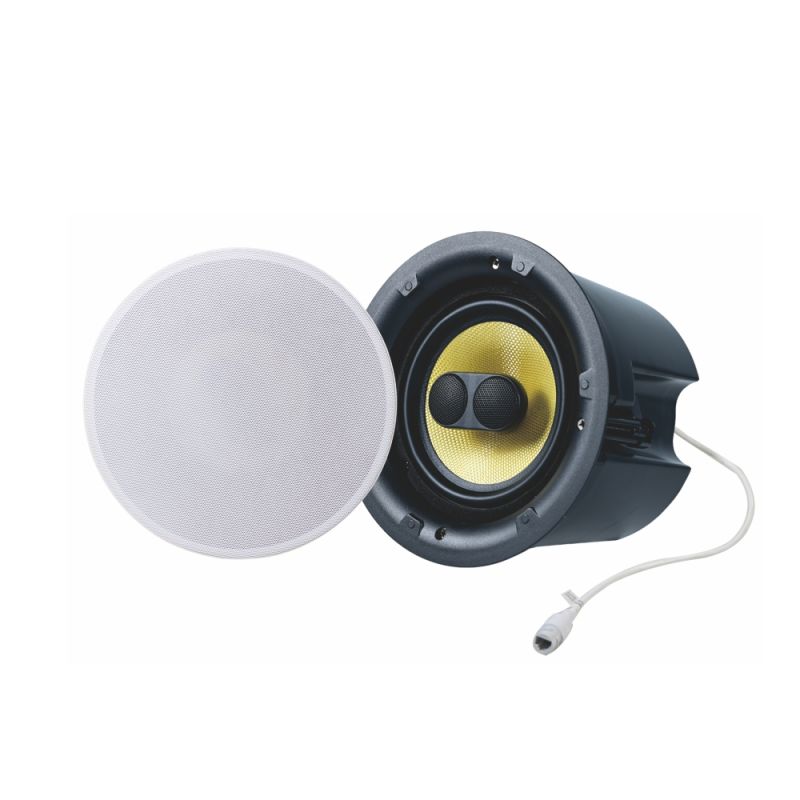Poe DSP Dante Ceiling DSP Speaker with a RJ45 Ethernet Port, Crossover and Back Dome for Dante PA System