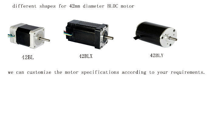 42bl3A45 DC Motor Electric Motor Low Voltage DC Motor BLDC Motor/Brushless DC Motor