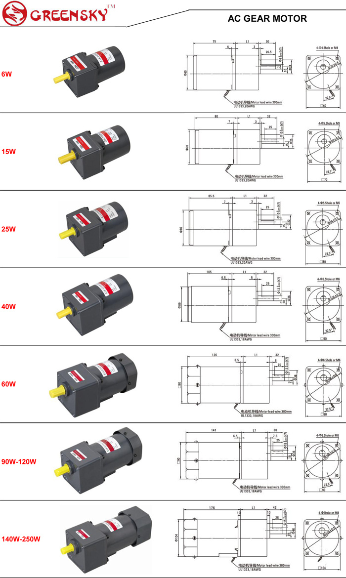 6W-250W AC Induction Motor / AC Gear Motors / Electric AC Motor with Gear Box