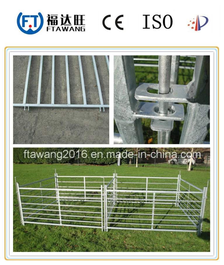 Galvanized Chain Link Fence/Farm Wire Mesh Fence/Security Fence