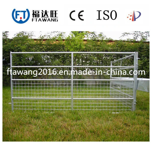 Galvanized Cattle Fence/Farm Field Fence/Grassland Fence for Sale