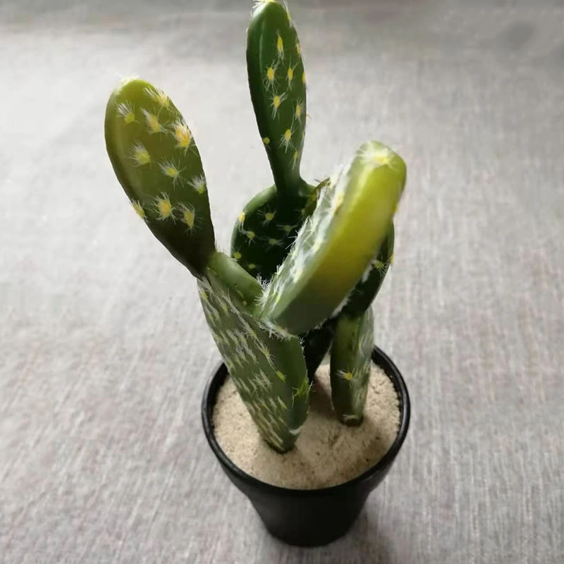 Faux Artificial Cactus Succulents Potted with Plastic Material White Base for Desk Decoration House Decoration