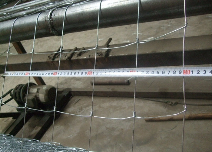 Galvanized Field Fence/Woven Knot Fence/Horse Sheep Cattle Field Fence