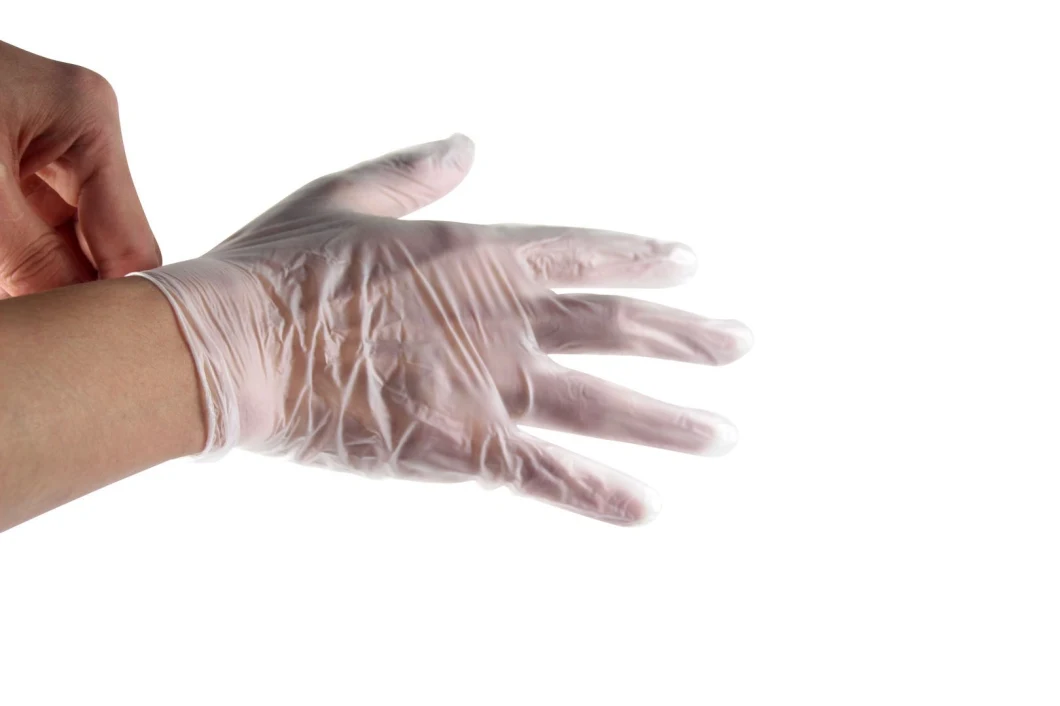 Cheap  Vinyl Disposable  PVC Gloves  with Quality Certificated En374 / En455