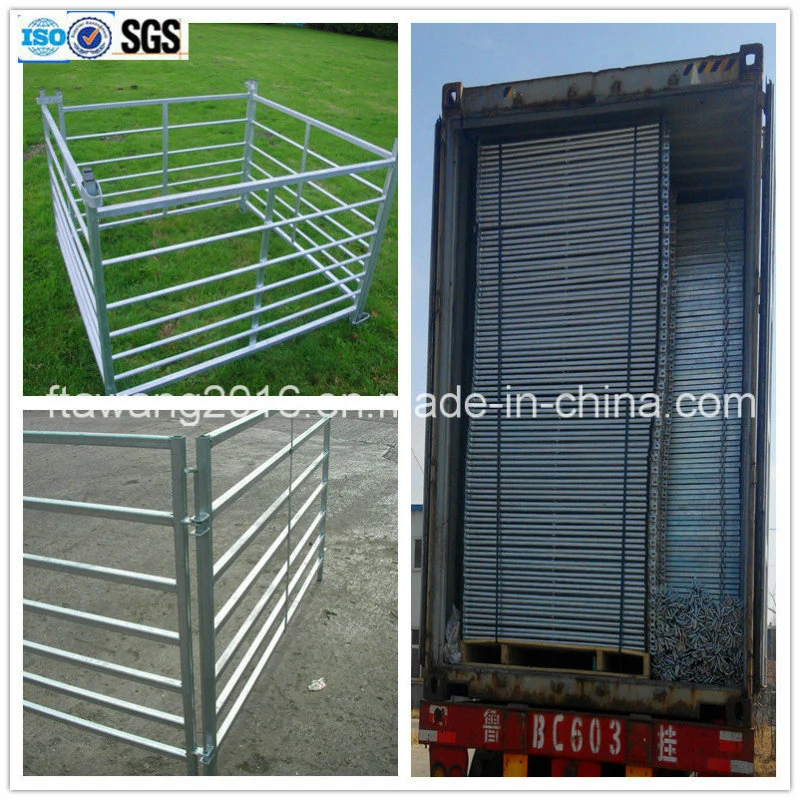 Galvanized Cattle Fence /Grassland Field Fence/Panel Fence/Horse Deer Fence