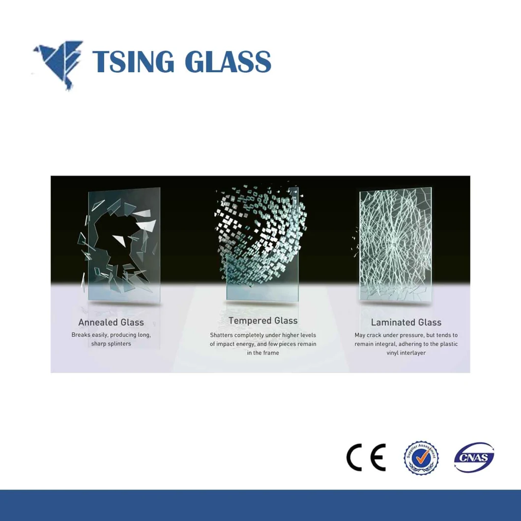Clear Toughened/Tempered/Laminated Glass for Swimming Pool Fence/Stairs/Balcony/Shower Glass