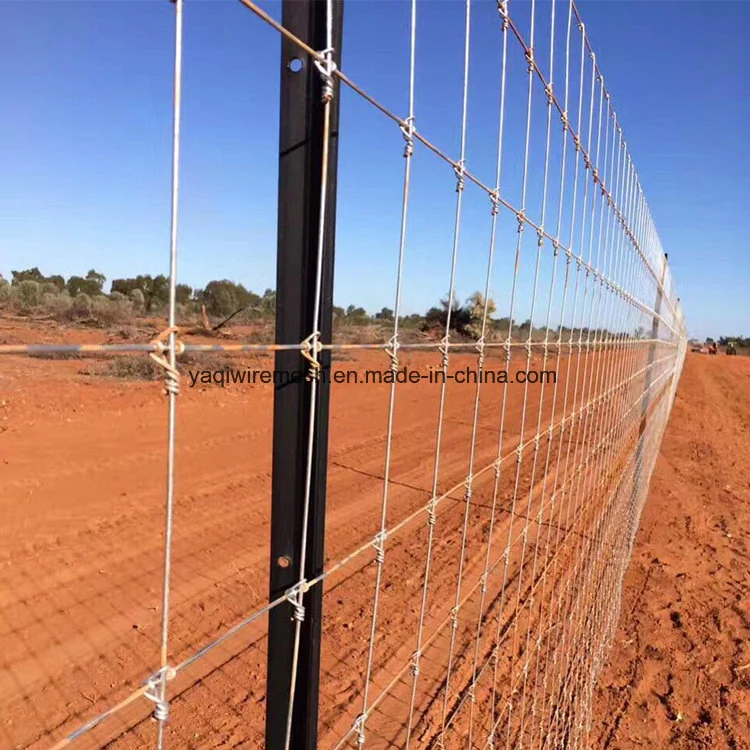 High Tensile Field Fence Sheep Wire Mesh Fence Farm Fence High Quality