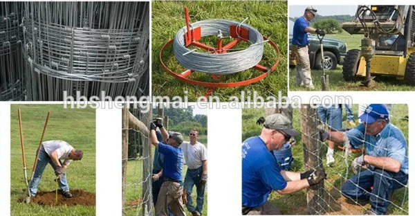 Cattle Electric Fence/Cattle Fence and Hinge Joint Knot Field Fence Mesh with Quality for Sale