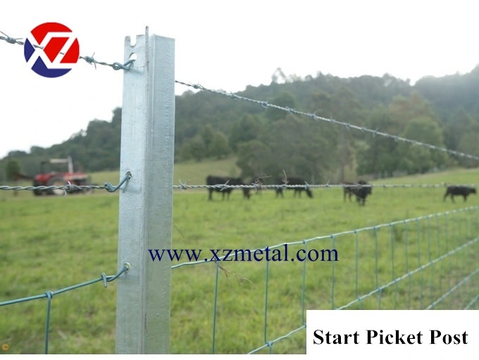 1.9kg/M Hot-DIP Galvanized Steel Y Fence Posts (2.4kg/m)