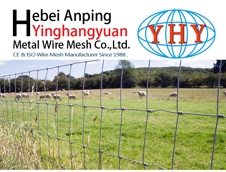 Hot Dipped Galvanized Field Fence/Cattle Fence/Sheep Fence Hinge Joint Knots Fence From China Supplier