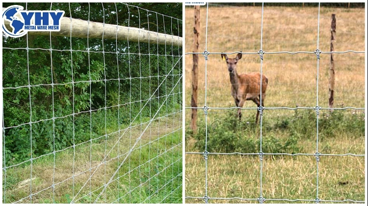 High Tension Steel Wire Fixed Knot Camel Fence / Tight Lock Fence on The Farm or Ranch