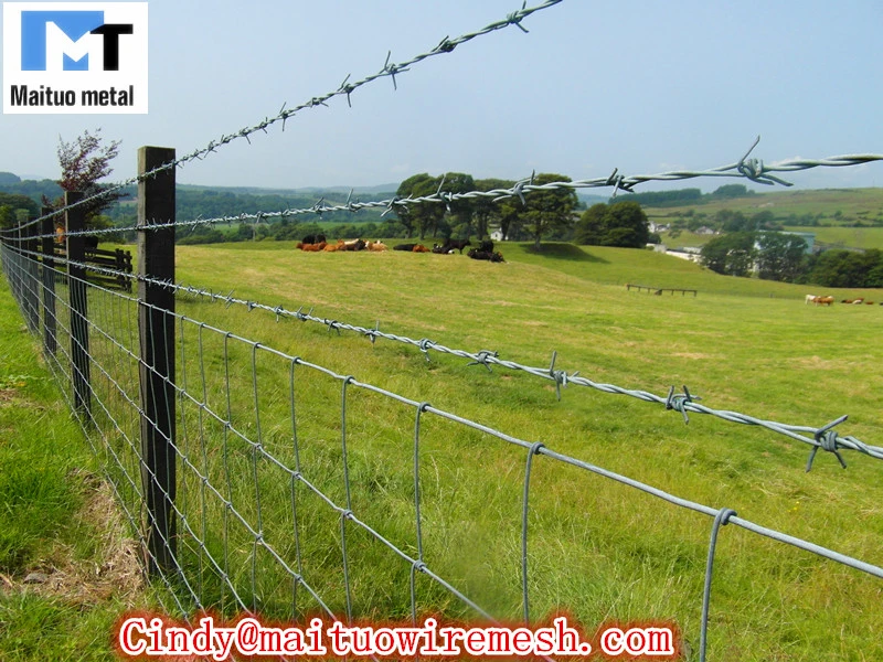 Cattle Fencing and Post PVC Coated and Galvanized