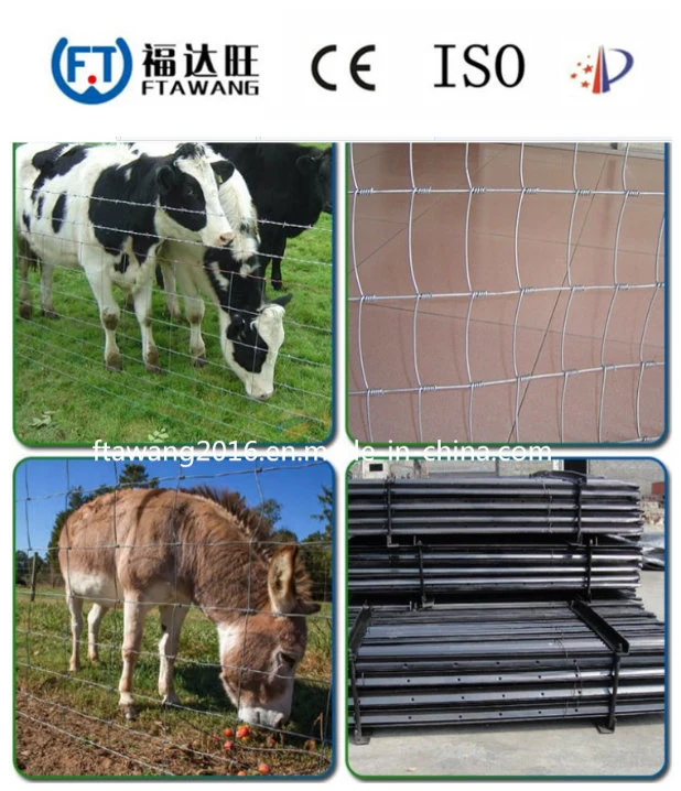 Galvanized Sheep Farm Field Fence/Deer Fence/Cattle Fence