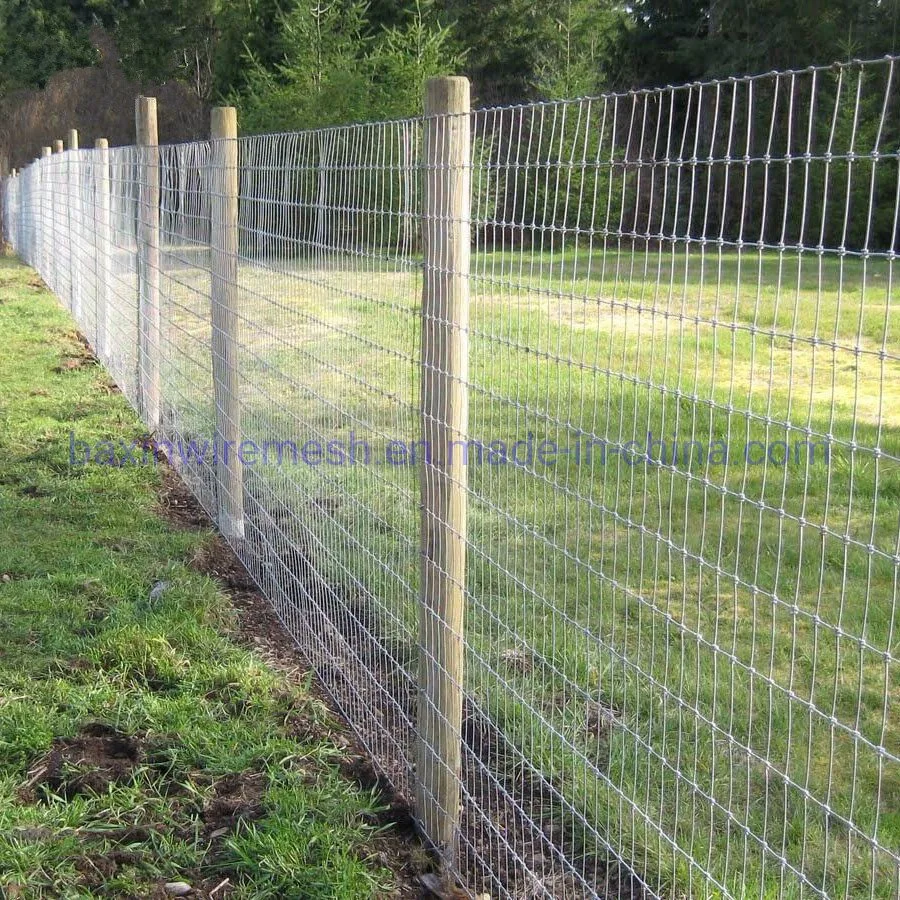 Farm Fence/Field Fence/Livestock Fencing/Farm Field Fence