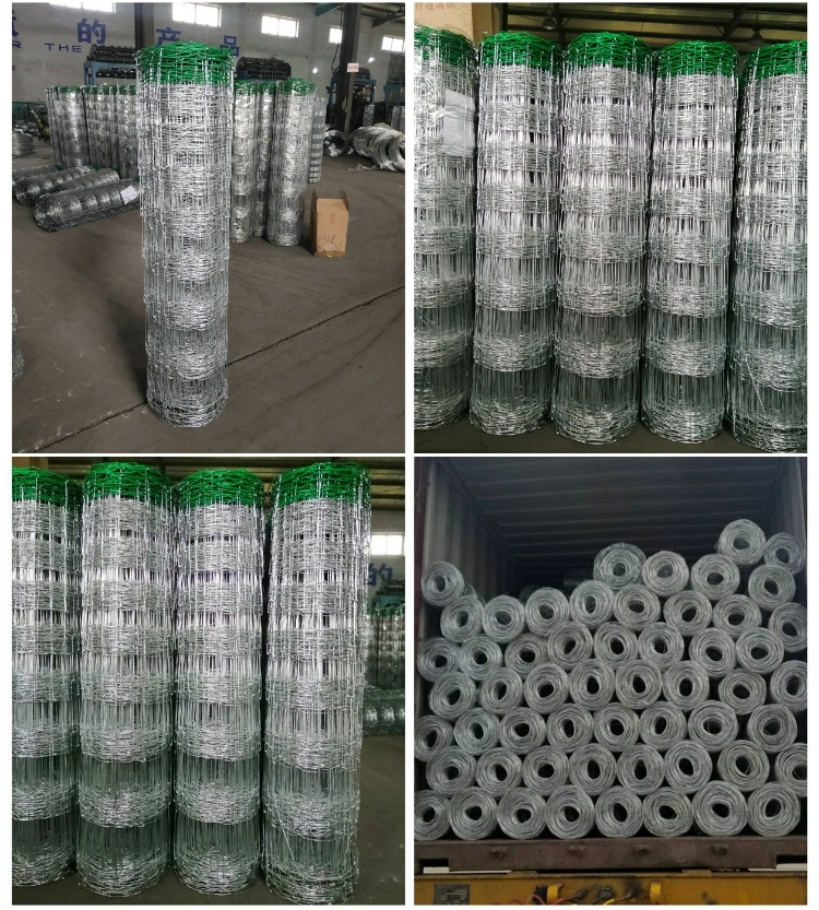 Hinge Joint Cattle Fence/Fence for Cattle & Sheep with Green Color PVC