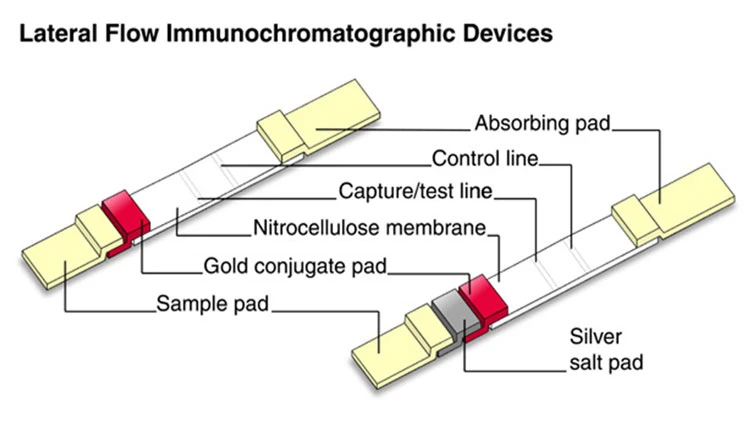 Igg-Igm Rapid Test Kit Colloidal Gold Rapid Diagnostic Antibody Igm Igg Strip Test Cassette Kit