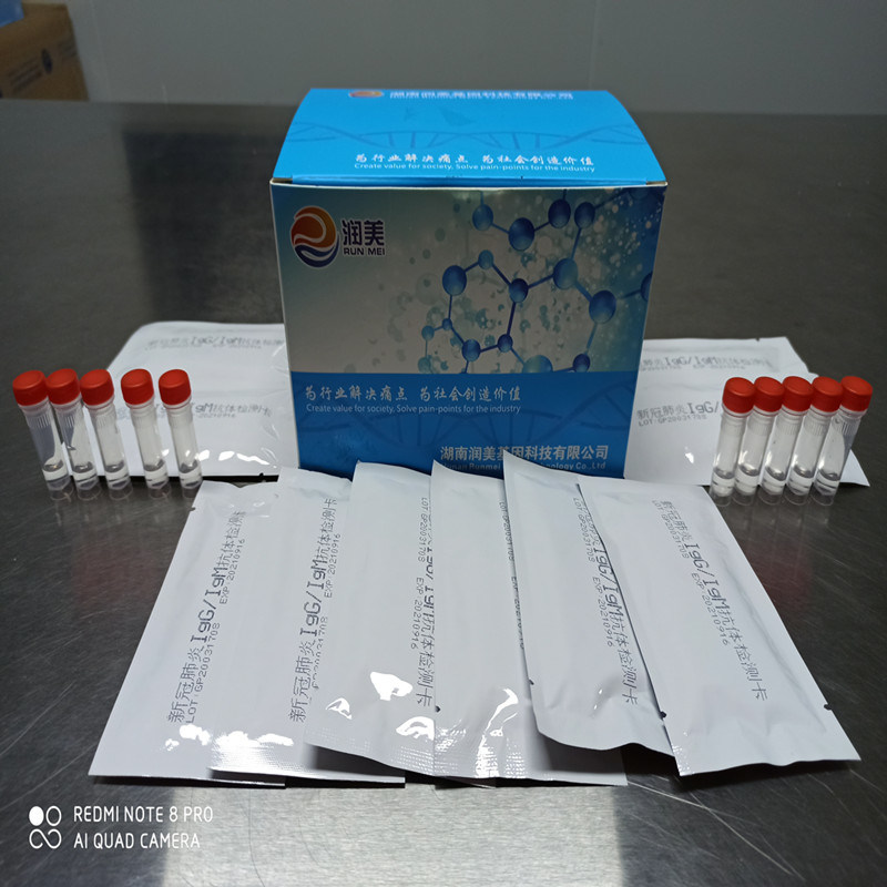 Runmei Diagnostic Kit Rapid Antibody Test for Igg Igm