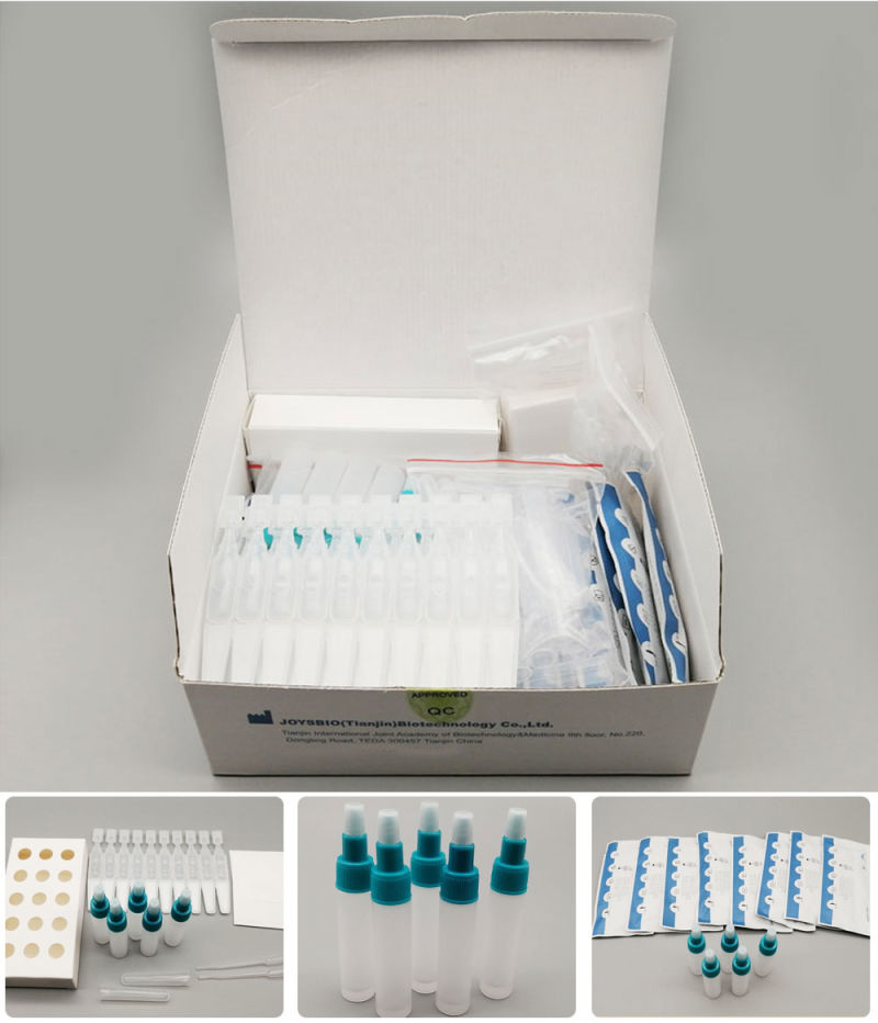 Novel Swab Test Kit Rapid Saliva Antigen Test