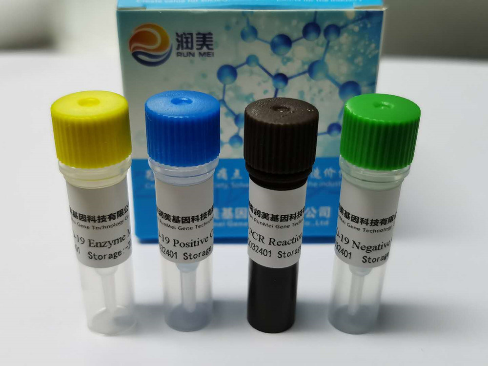Ce Approved Sansure Real Time PCR Rapid Test Kit Nucleic Acid Test