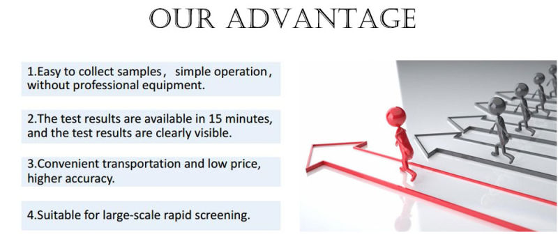 Rapid Diagnostic Test Kit Saliva/Nasal Swab Test