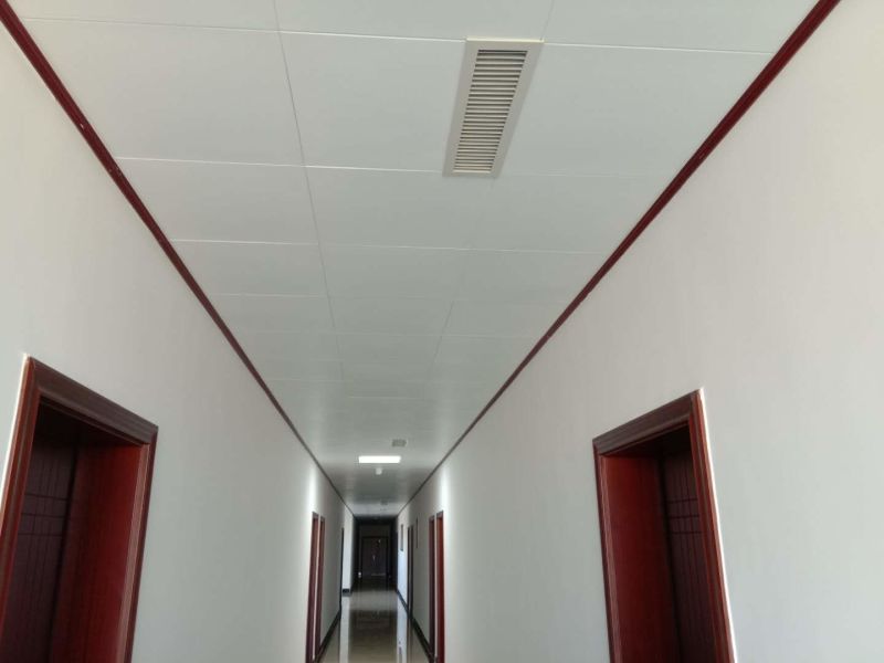 Moisture Proof, Fire Proof, Mould Proof Ceiling