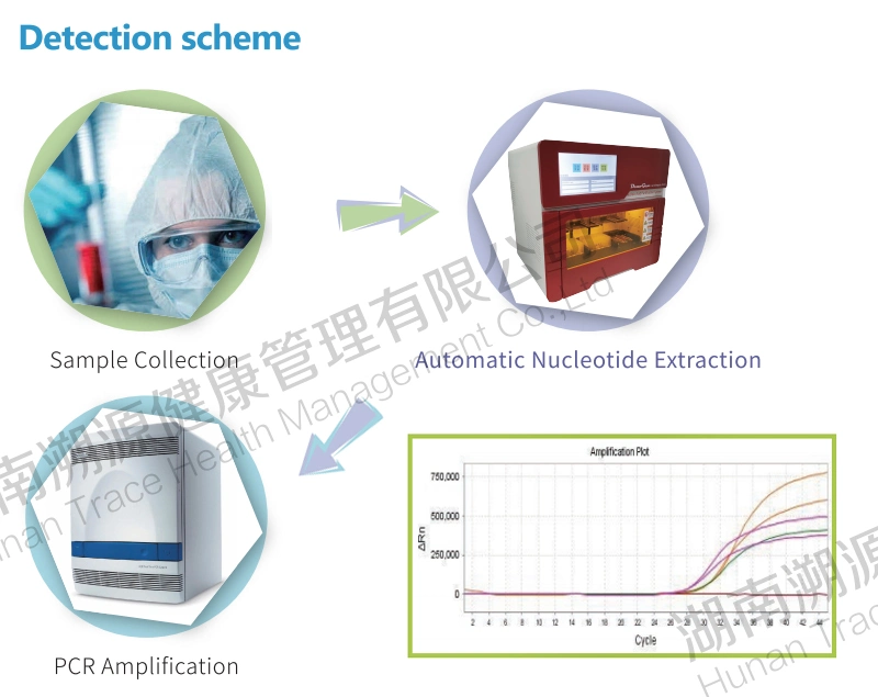 Real Time Nucleic Acid Test Kit Rapid Diagnostic PCR Test Kit