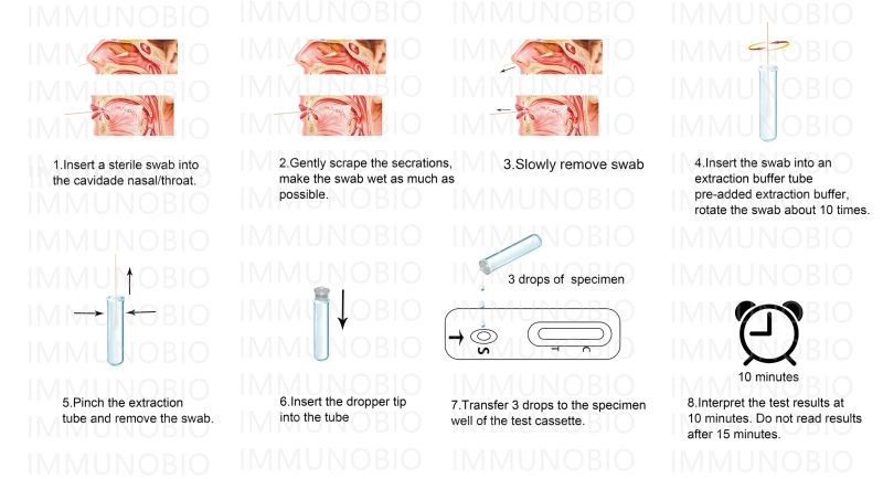 Pei/Bfarm Immunobio Coil 19 Test Antigen Rapid Test Saliva Test Medical Kit Antigen Test Strip