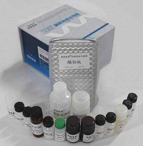 Biobase Clinical Diagnostic Elisa Kits HIV Rapid Test Kits and Reagents