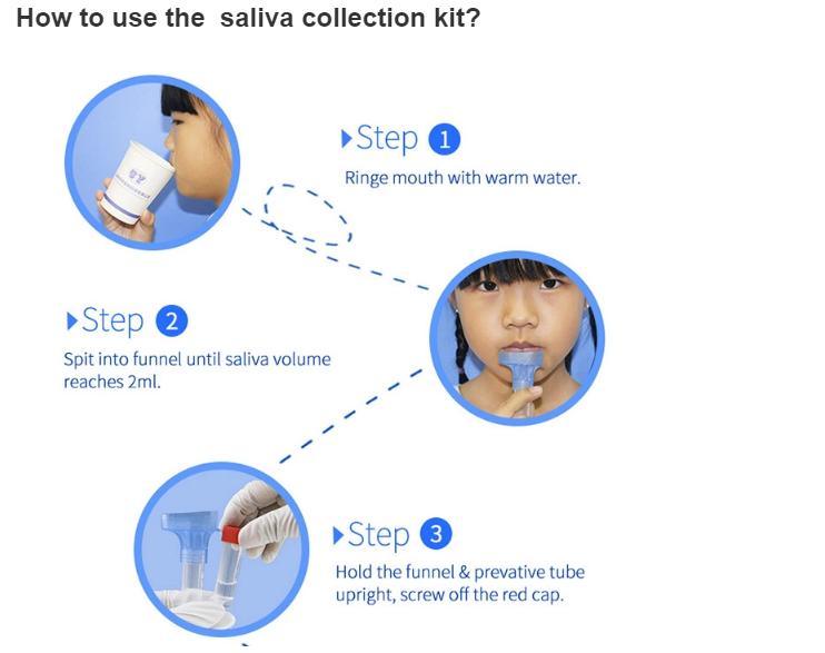 CE Approved Home Saliva Testing Kit with Funnel Tube Vtm Saliva Specimen Collection Kit