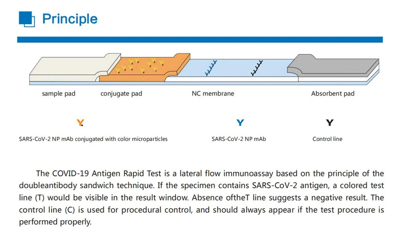 Cor0na Antigen Rapid Diagnostic Test Kits New Covvirus Detection Reagents