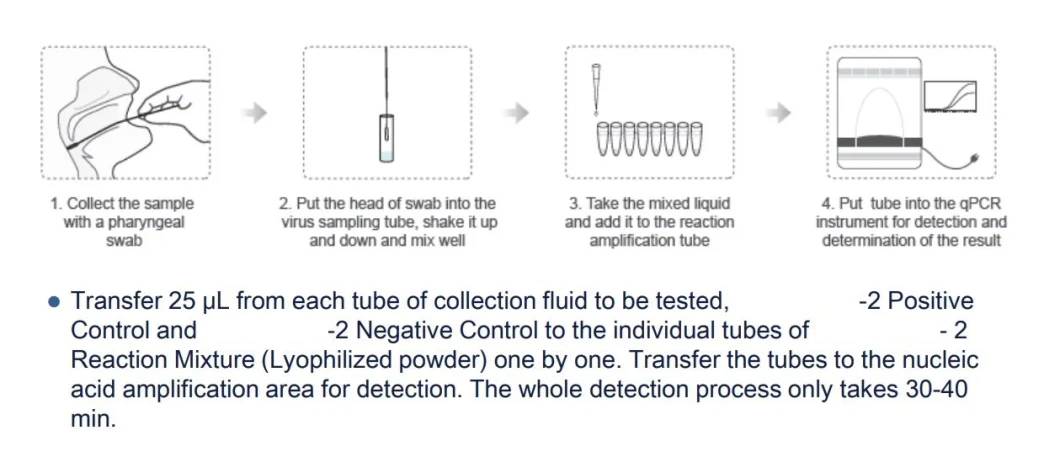 2021 New Launch Cwbio PCR Rt PCR Test Kit for for Nucleic Acid Diagnose