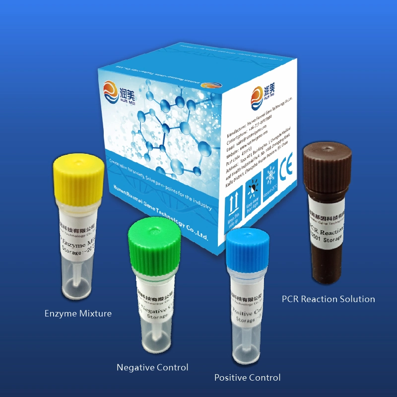 Nucleic Acid Detection Kit with Fluorescent Rt-PCR Test Method