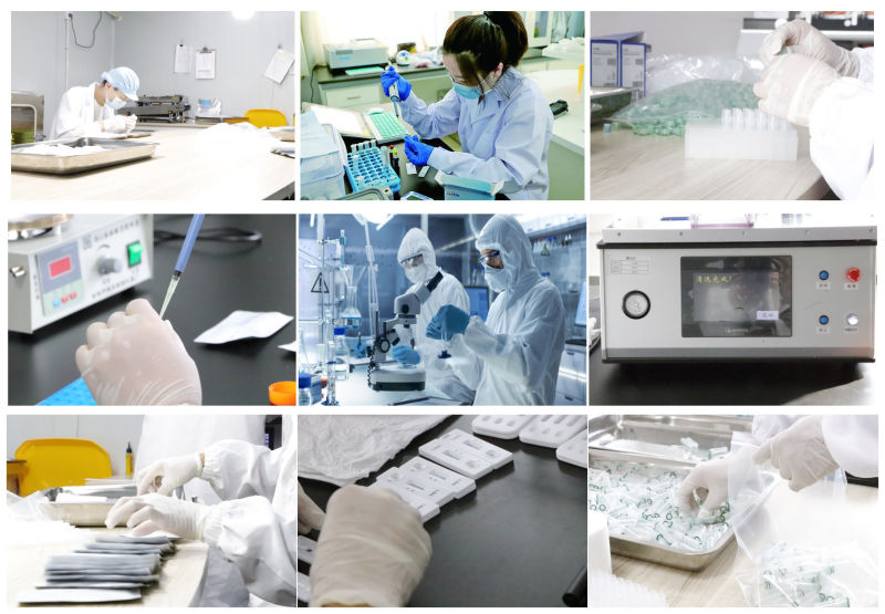 Antigen Tests Antigen Rapid Test Kits for 2019 Vir
