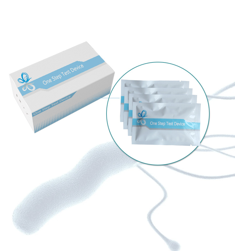 Factory Sale Helicobacter Pylori Antigen Test Kit Rapid Diagnostic Kits HP AG Rapid Test CE Marked