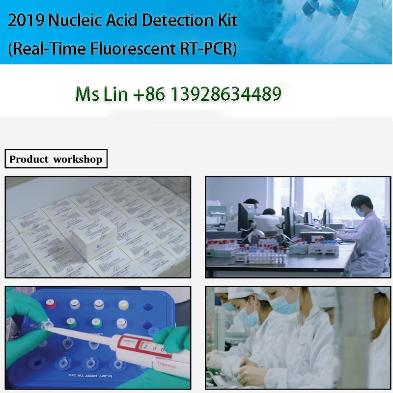 High Accuracy Real Time PCR Test Kit Nucleic Acid Test Kit Rapid Test Kit with Ce/Cfda Certification