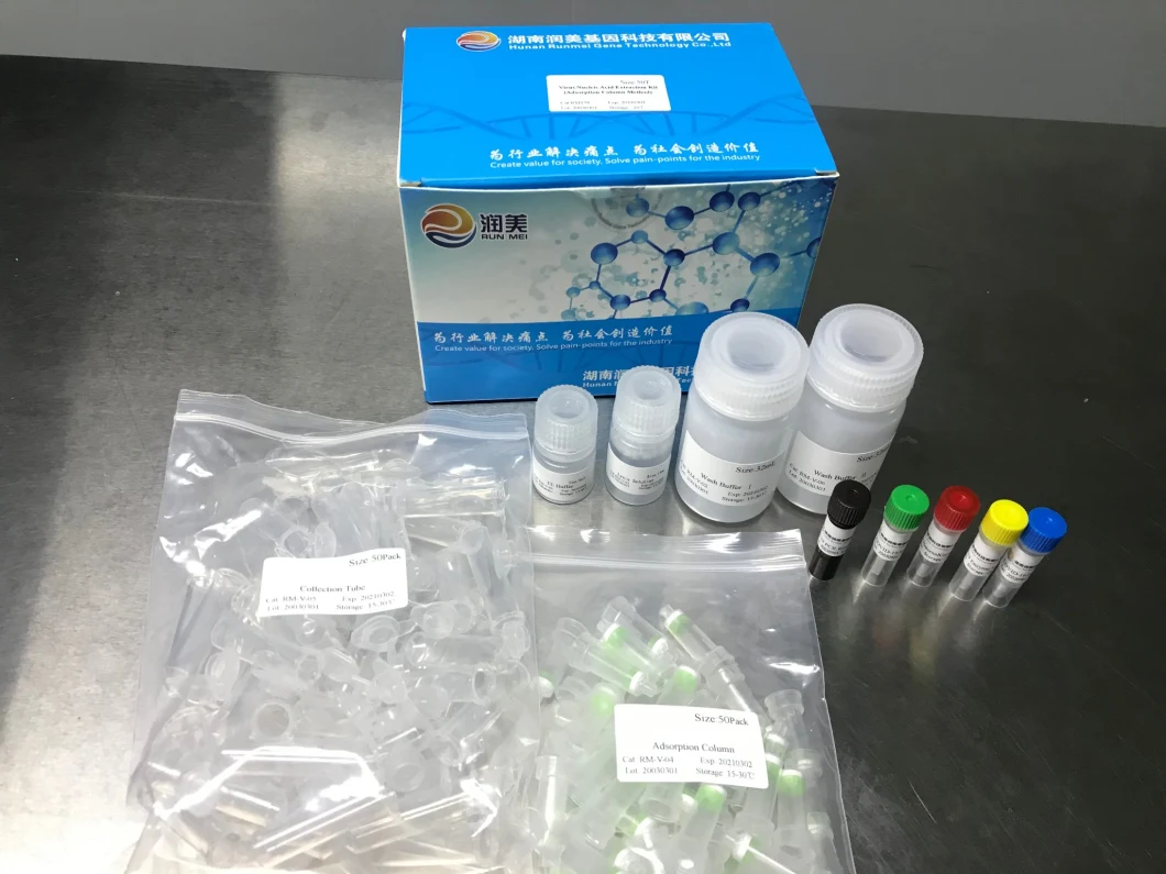 Rt PCR Kit, Rt PCR Kit for Genetic, Rt PCR Kit Nucleic Asit Test Kit, Nucleic Asit Test Kit, Test Kit