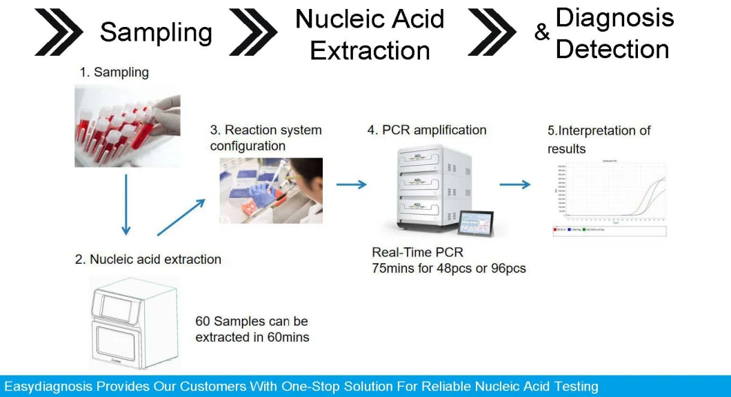 Cfda Certificates Fluorescent PCR Rapid Test Kit Nucleic Acid Test Kit for Test