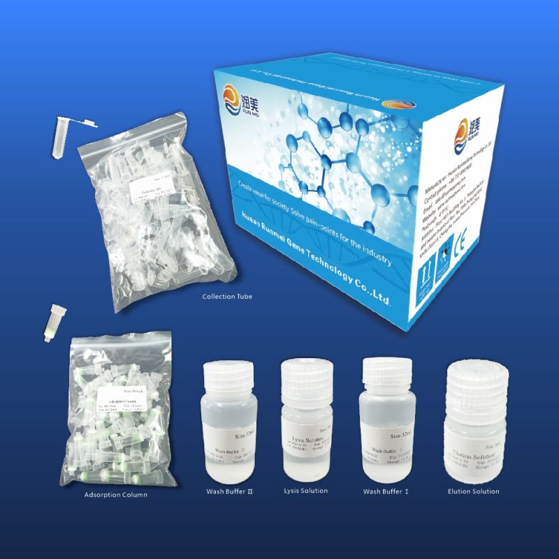 Runmei Test Real Time PCR Kit, CE FDA Approved PCR Kit Real Time, Factory Supply PCR Test Price