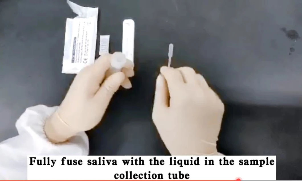  Saliva Salivary Antigen Rapid Testing Kit Swab Testing