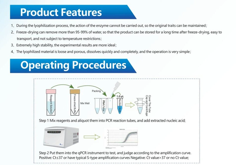 PCR Nucleic Acid Detection Kit with Fluorescent Rt PCR Test Method