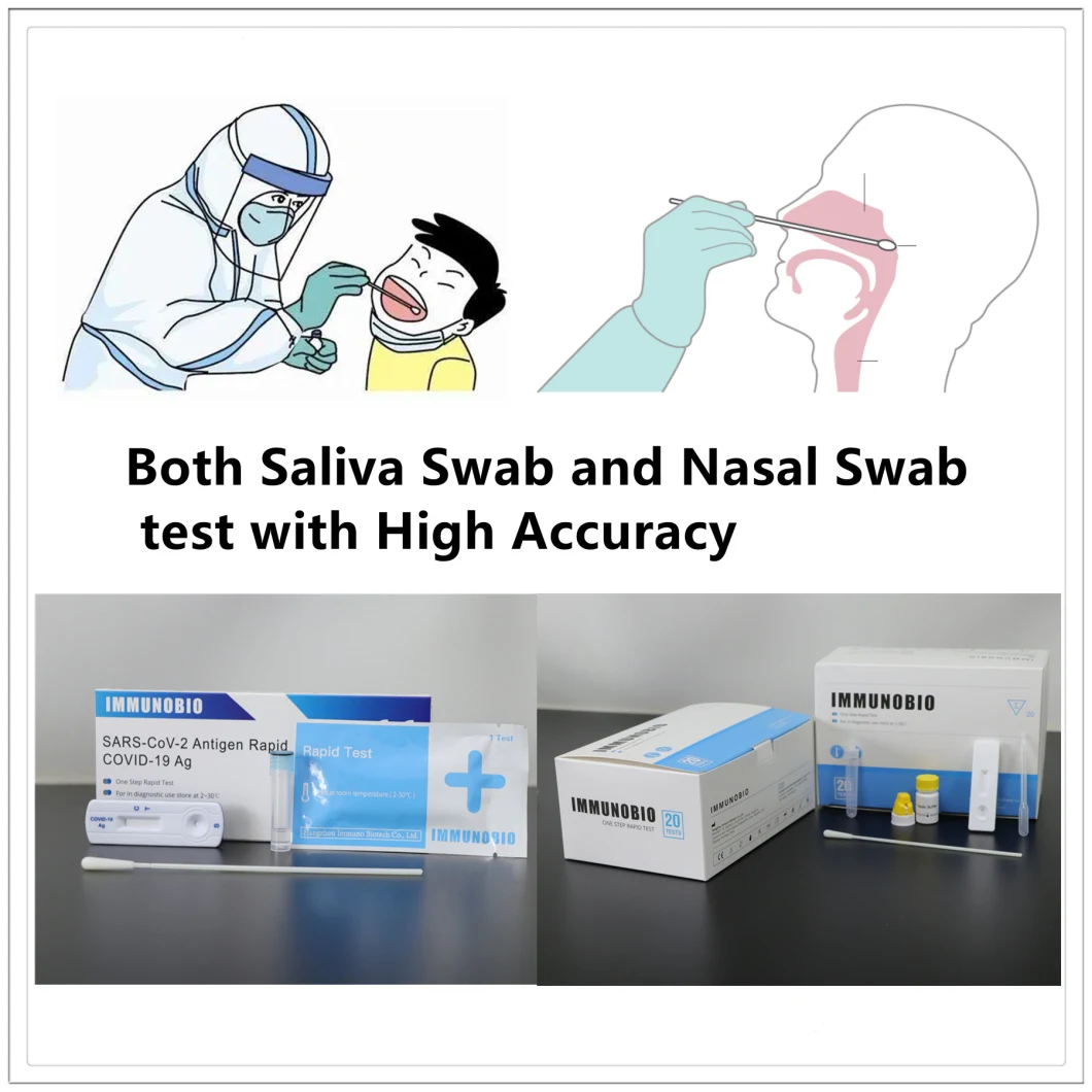 Coil 19 Test Ivd Kit Rapid Diagnostic Test Strip Saliva Swab/Spit Test One Step Antigen Test Real Time Test