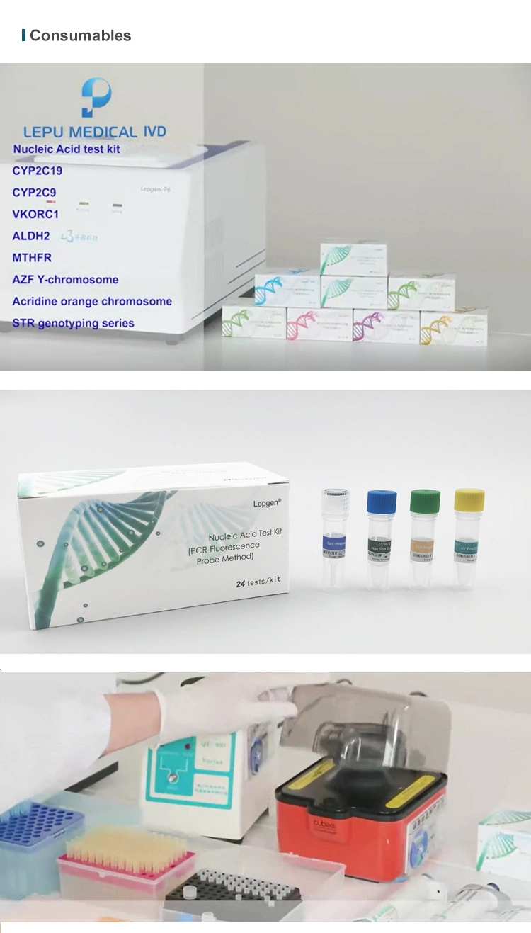Lepu Medical PCR Test Rapid PCR Analysis Equipment for Nucleic Acid Testing