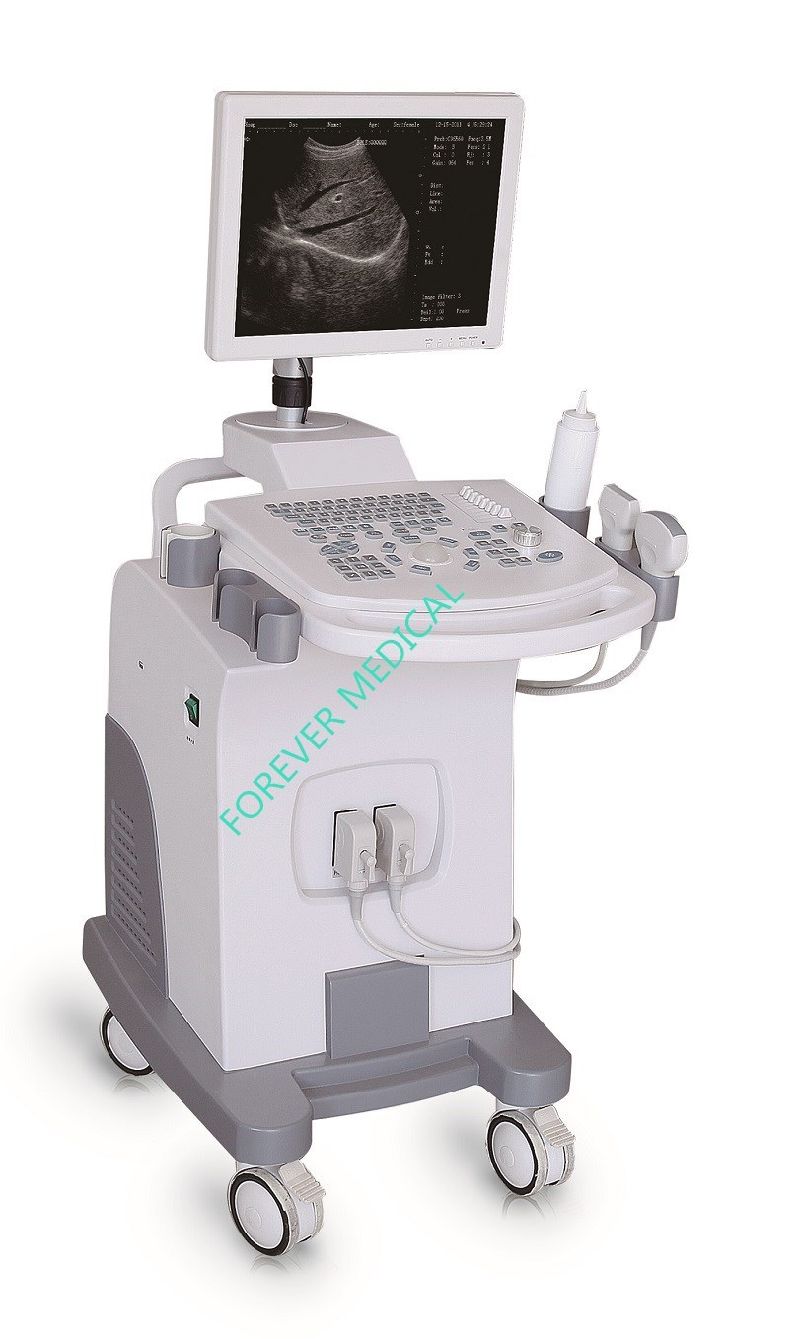 Laptop Diagnostic Ultrasound Scanner for Pregnancy Ultrasound Scan