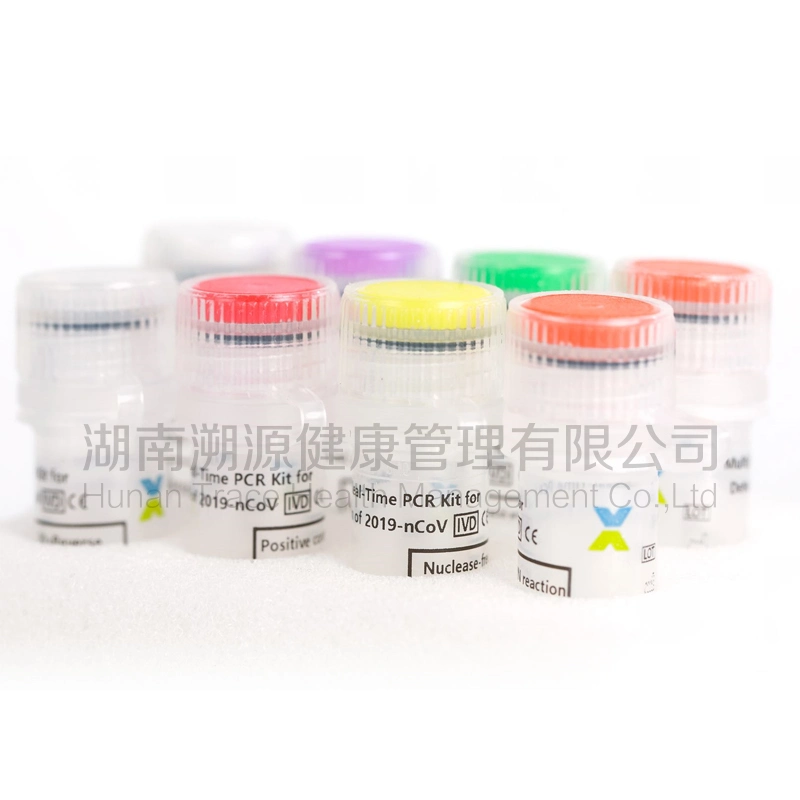 Real Time Nucleic Acid Test Kit Rapid Diagnostic PCR Test Kit
