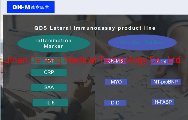 Ctni/H-Fabp Cardiac Antigen Antibody Immuno Immune Fluorescent Fluorescence Assay Chromatography