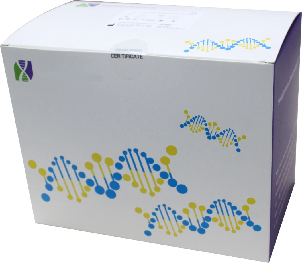 Antigen Tests-Antigen Test-Rapid Test Kit-Rapid Diagnostic Test for 2019 Virus