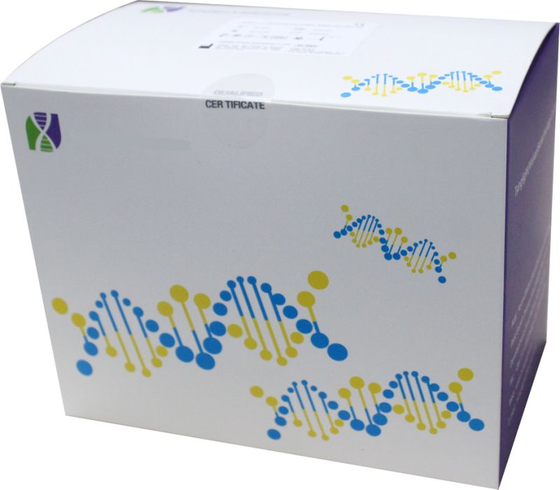 Nasal Antigen AG Saliva Test Kit, Antigen Poc Nasal, Cvs Antigen Ivd Tragbare Schnelltest Kits