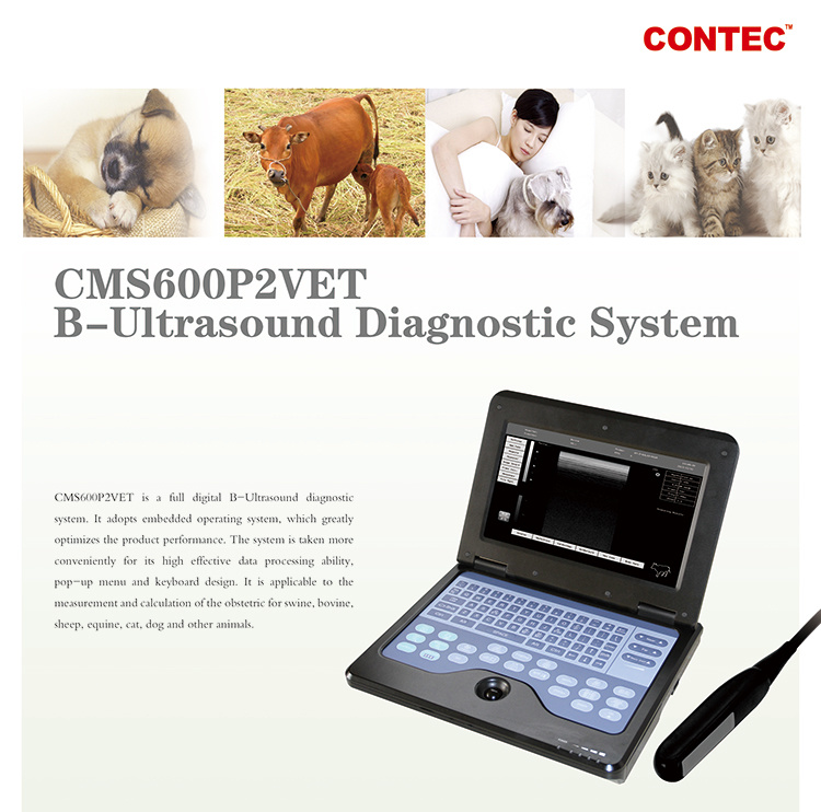 Portable Freezer for Laboratory Veterinary B-Ultrasound Diagnostic System